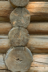 Wooden natural cut logs textured background, top view, flat lay