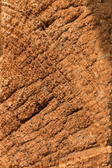 Texture of brown wood