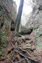 Eye of the Needle Walk Murrurundi Australia