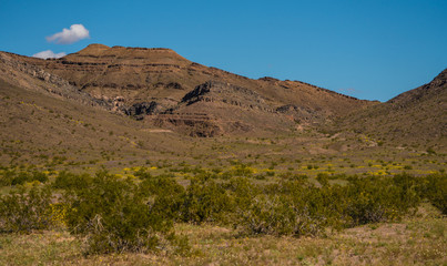 The marble Mountains in the Mojave preserve in March of 2019