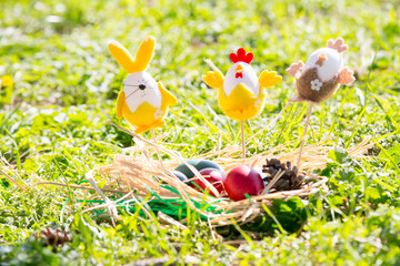 Easter eggs on green grass
