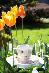 Polka dot tea cup in flowers and a garden