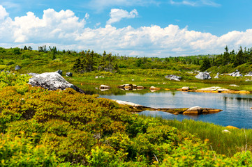 Fototapeta na wymiar View of Peggy Cove preservation areas, along Highway 333 and coastline St. Margaret Bay in Nova Scotia, Canada 