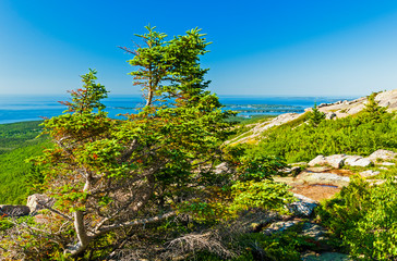 Fototapeta na wymiar Acadia National Park, a stunning national treasure on the coast of Maine in the USA