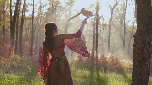 lovely young woman with dark hair in long, gorgeous, delightful burgundy mulberry dress walks along path of a magical red forest with barn owl on her hand, fairy of nature teaches a white bird to fly