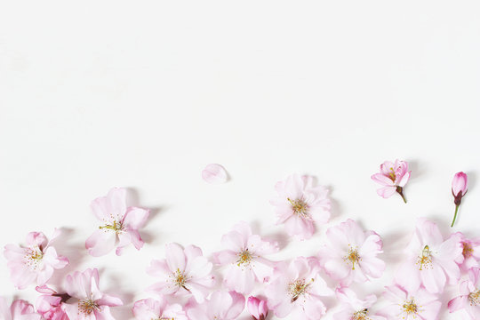 Closeup of decorative banner made of pink Japanese cherry blossoms. Styled stock photo. Spring, Easter feminine scene, floral composition. White background. Flat lay, top view.
