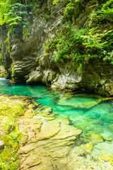 The Vintgar Gorge or Bled Gorge is a walk along gorge in northwestern Slovenia.