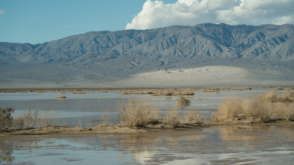 Dry lake beds in Death Valley come to life with water and flood in the winter of 2018 