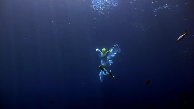 Young woman free diver underwater model angel in white cloth swims with fish. Creativity and art of creating images on background of seabed.