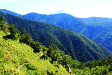 南アルプス光岳への道　茶臼小屋からの景色　富士山遠景