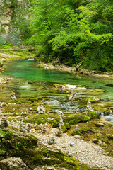 Naklejka na ściany i meble The Vintgar Gorge or Bled Gorge is a walk along gorge in northwestern Slovenia.