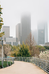 View of the Houston skyline in fog, from Buffalo Bayou Park in Houston, Texas