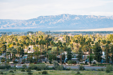 View of Palm Springs from the Araby Hiking Trail, in Palm Springs, California