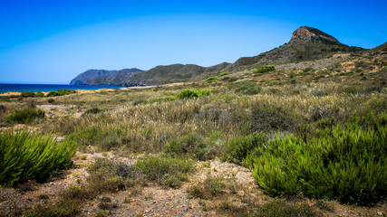 Fototapeta na wymiar Playa Larga del Parque Natural de Calblanque (Murcia)