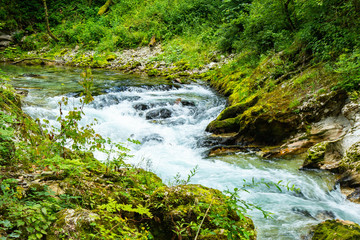 The Vintgar Gorge or Bled Gorge is a walk along gorge in northwestern Slovenia.