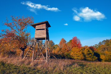 Hunting tower in wild forest. Wooden Hunter Hide High watch post tower. Hunter's observation point in forest in Europe - 258814225