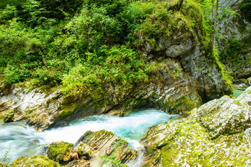 The Vintgar Gorge or Bled Gorge is a walk along gorge in northwestern Slovenia.