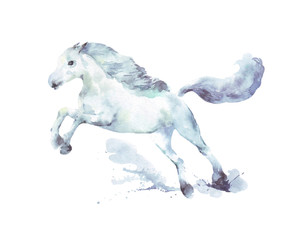 white horse running watercolor