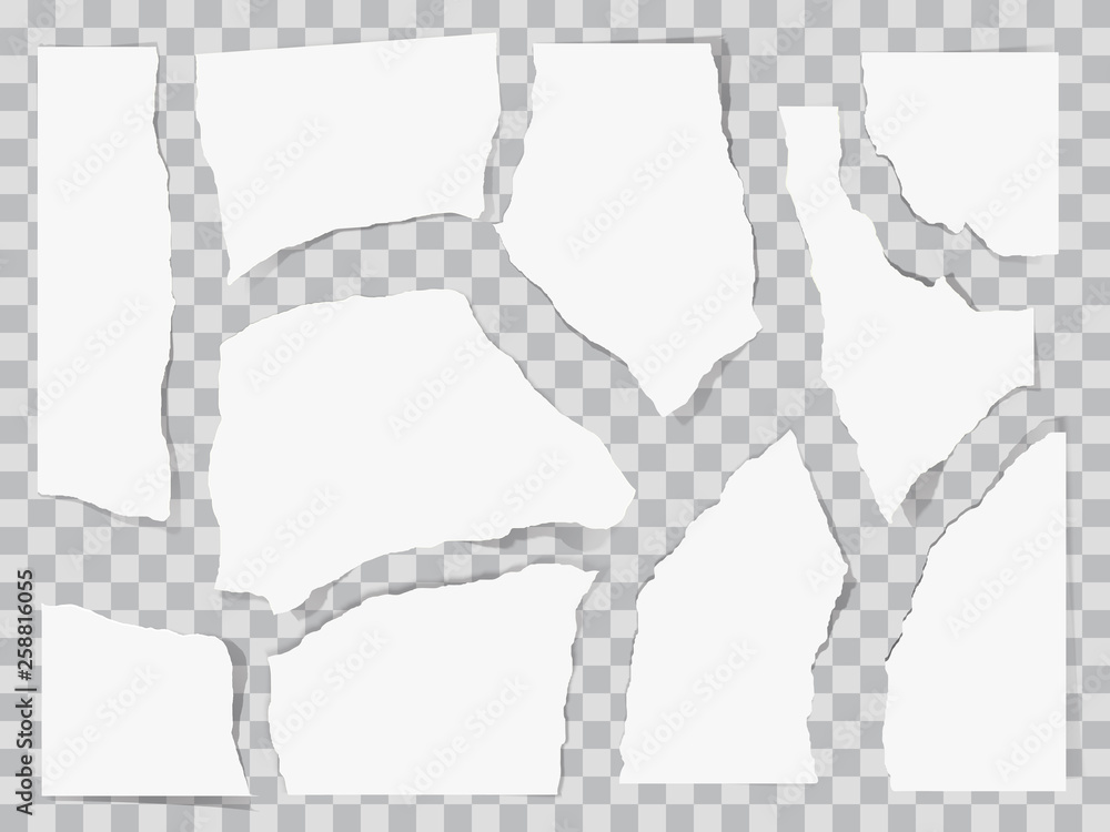 Canvas Prints paper torn to pieces. scrap paper. web banner background.