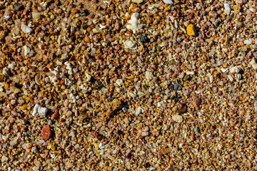 Texture of the wet sand for background
