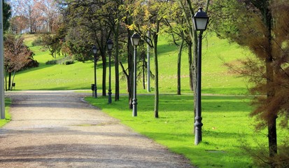 CAMINO DEL PARQUE CON ARBOLES Y FAROLAS A LOS LADOS, VERDE, CESPED, BOSQUE, NATURALEZA, PAISAJE,...