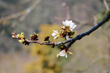 spring moments 