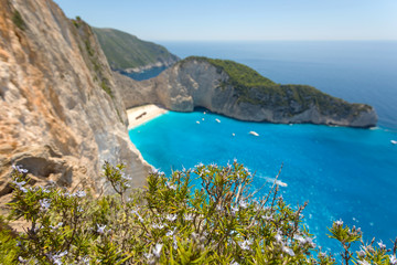 Fototapeta premium Flowers and a beach with shipwreck