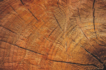 Close up texture of cutting timber by chainsaw. Concept campaign of Global warming and forest preservation.