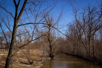 North branch of the Chicago River in early spring