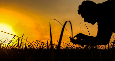 Silhouette of an agronomist concept of agricultural business sugar cane plantation