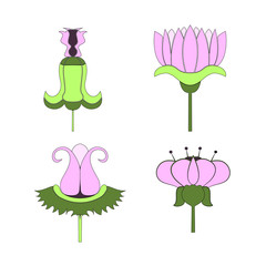 Set of decorative flowers on isolated white background.  illustration.