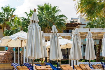 many umbrellas on the background of high palm trees
