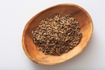 (Herb) image of milk thistle