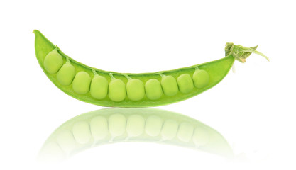 Sugar Pea isolated on white background