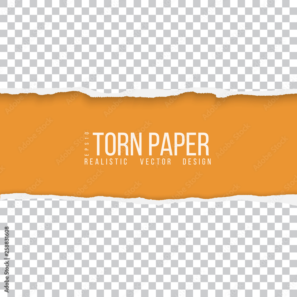 Wall mural realistic vector torn paper border with space for your text