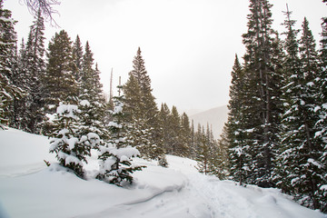 Wintry trail in Rocky Mountain National Park, Colorado