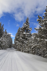 Wintry trail in Rocky Mountain National Park, Colorado