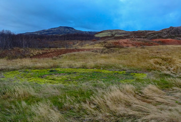 Fototapeta premium Iceland and amazing icelandic nature and landscapes