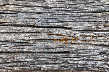 Old faded wood texture backdrop for mockup or design pattern in construction, food or industrial flat layer of sample concept