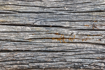 Old faded wood texture backdrop for mockup or design pattern in construction, food or industrial...