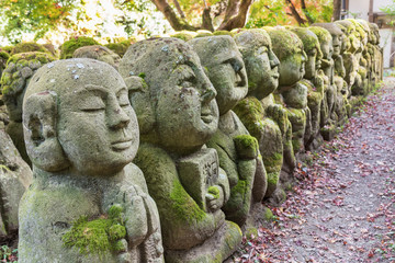 Row of Old Carved Buddha Statues in Dark Forest Setting in arashiyama, Kyoto, Japan