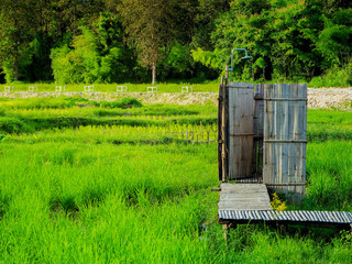 Bathroom make from bamboo in nature.