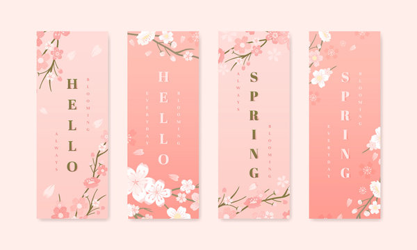 Cherry blossom background collections