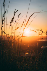 Fototapeta premium Sunset in Auckland