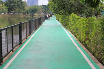 A green pathway of bicycles lane at the nature park.
