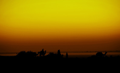 Fototapeta na wymiar Desert Silhouette 