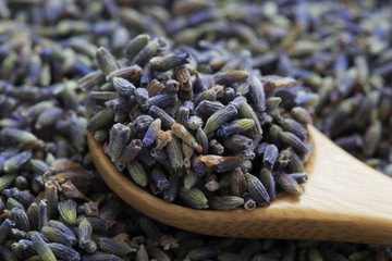 (Herb) image of lavender