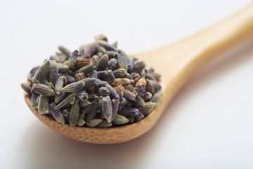 (Herb) image of lavender