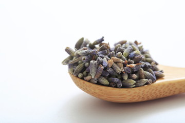 (Herb) image of lavender