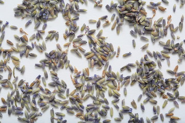 (Herb) image of lavender